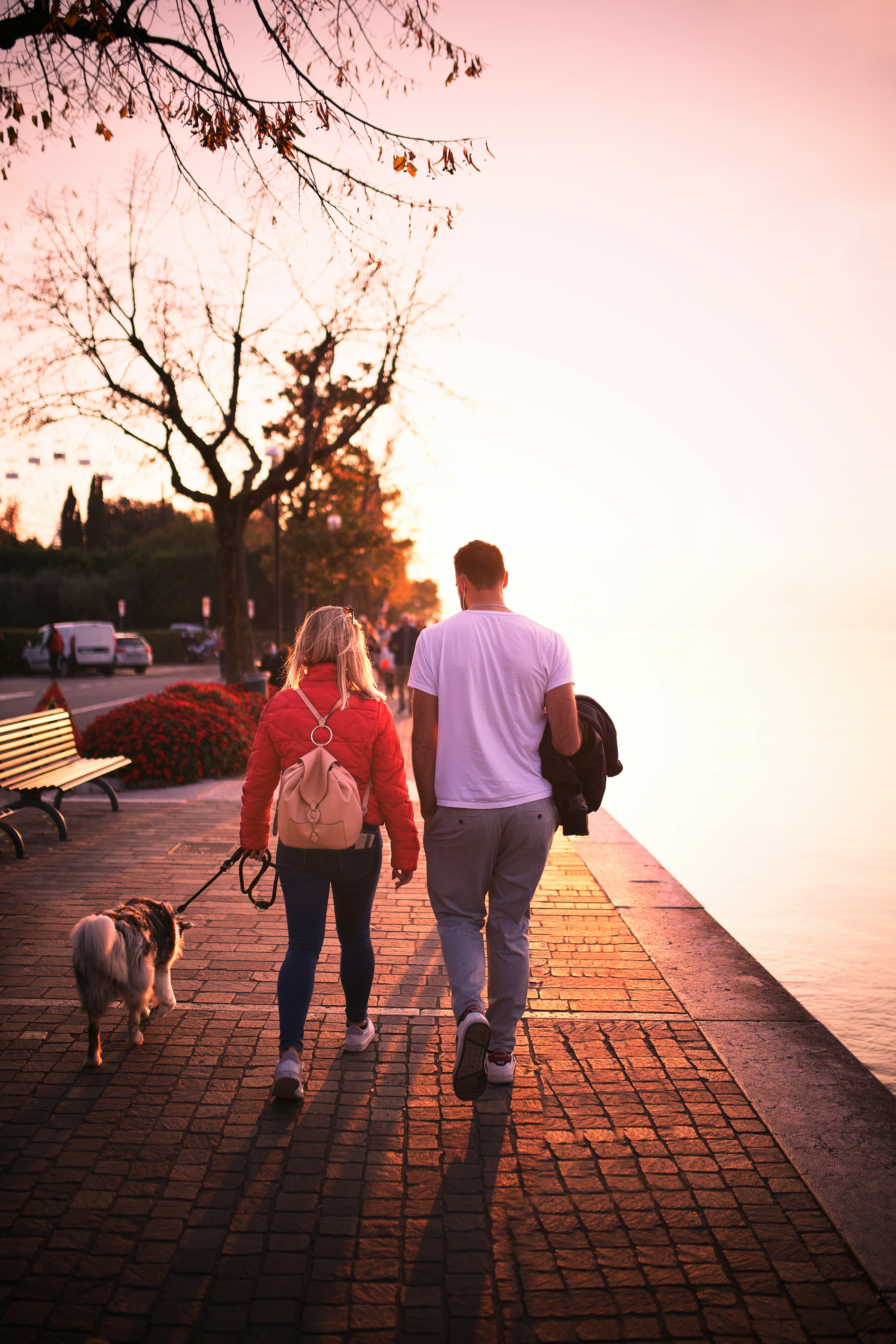 man and woman walking on wooden dock with dog during daytime